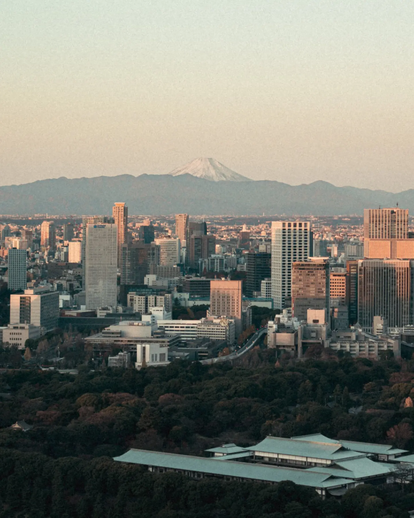 Day 1 (New York) travel photograph 2 from The Ultimate Japan Travel Itinerary: Tokyo & Kyoto in 9 Days